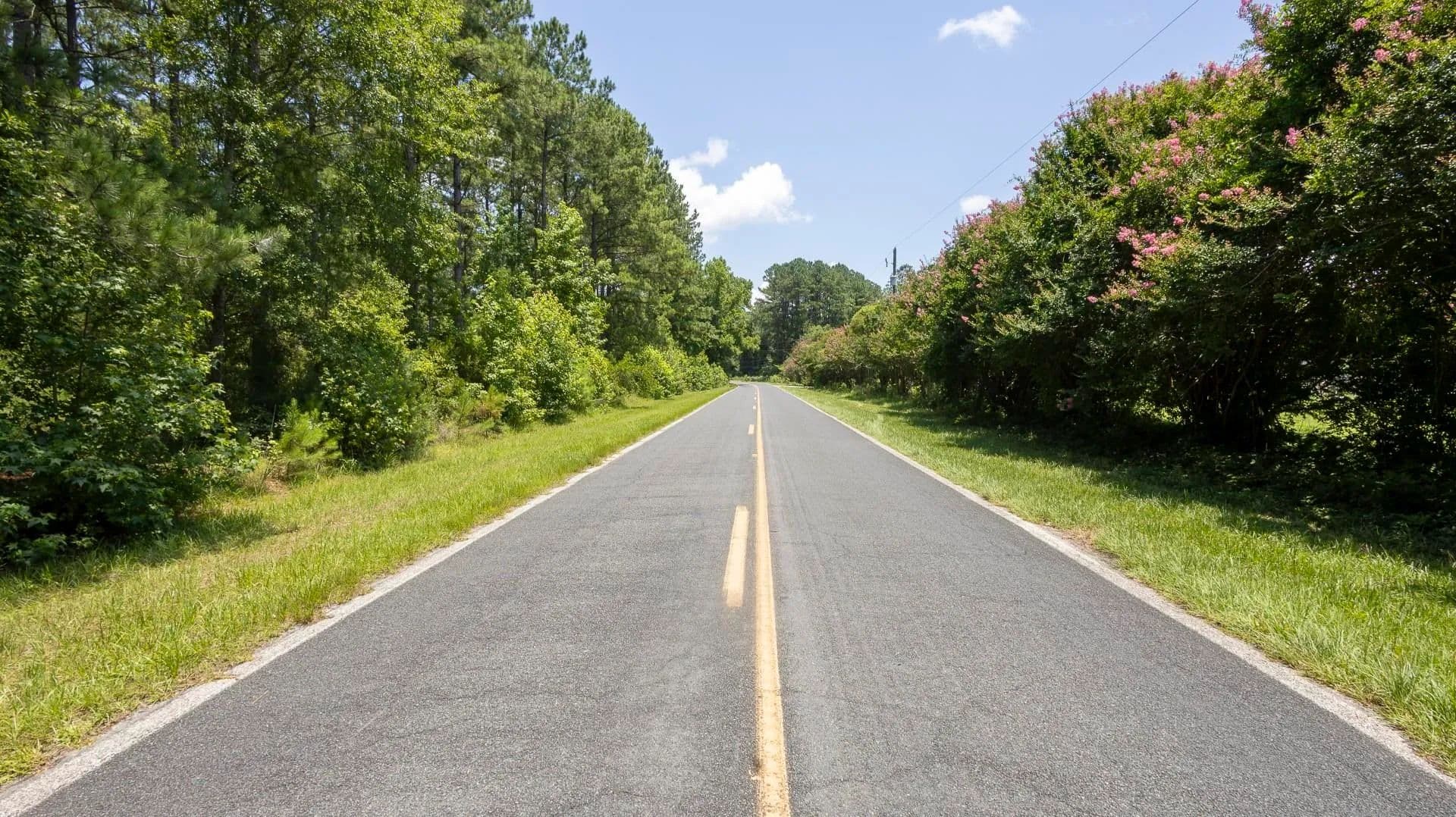 Vacant Land in Hemingway - Hemingway, South Carolina, 29554