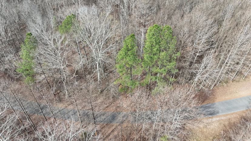 Toney Drive Tract #2