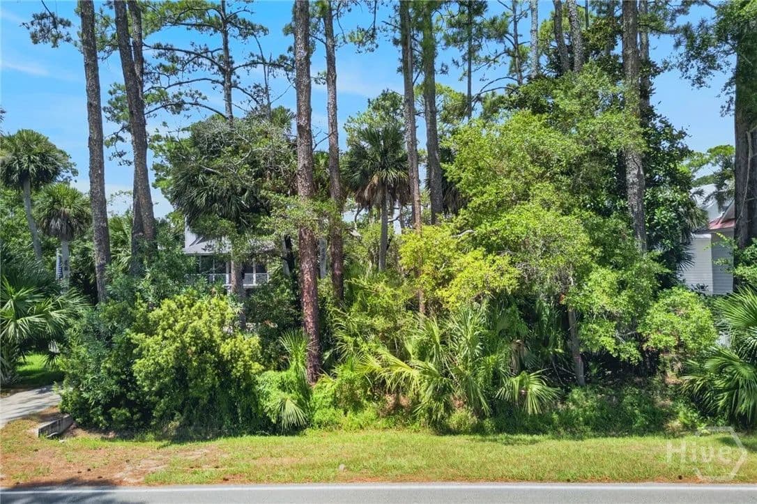 0.15 Acres of Land for Sale in Tybee Island, GA - Tybee Island, Georgia, 31328