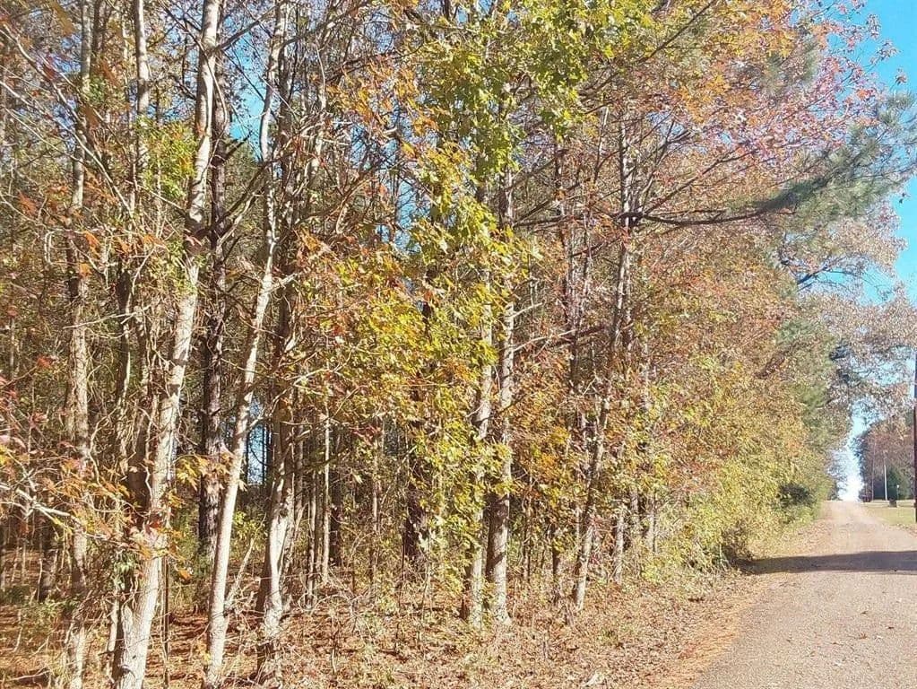 Lots & Land-Other in McLeod - McLeod, Texas, 75565