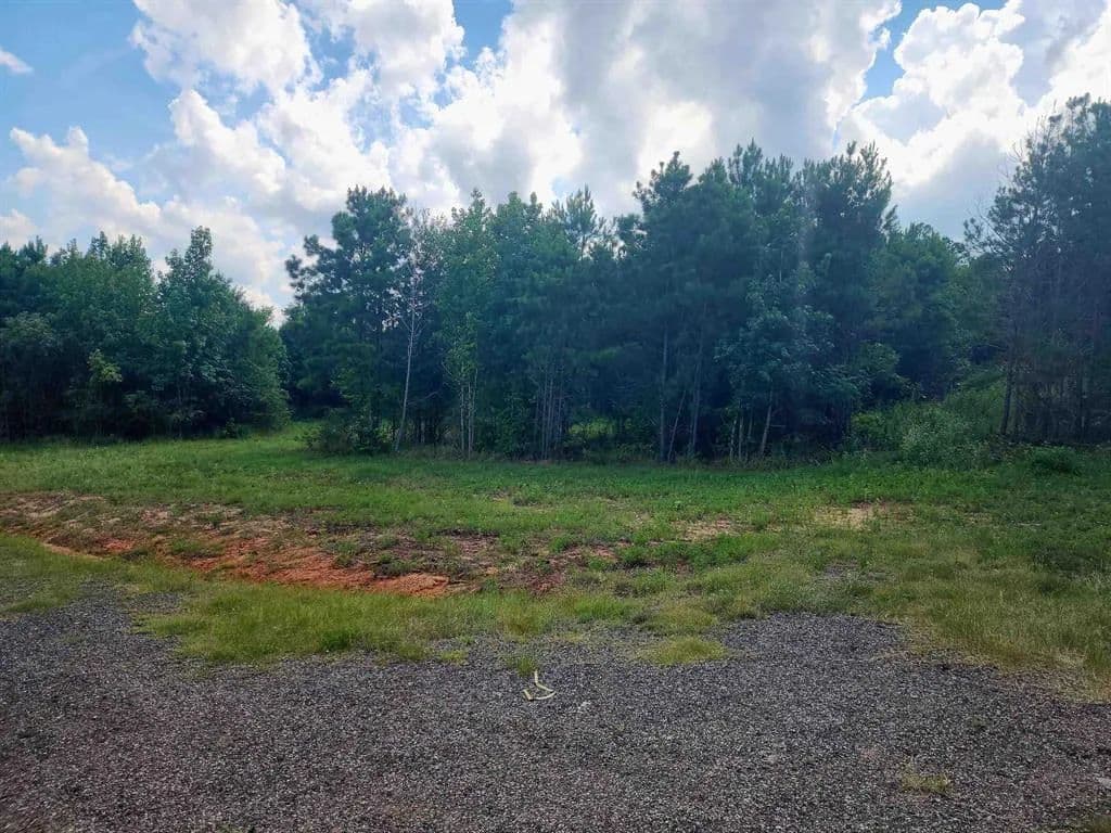 Land -Single Family Acreage in Hallsville - Hallsville, Texas, 75650