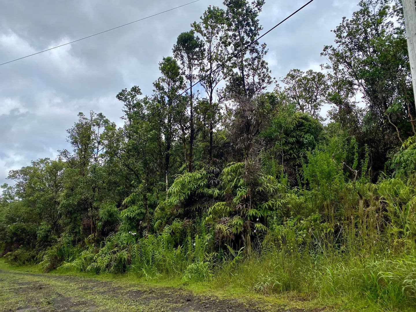 Vacant Land in Mountain View - Mountain View, Hawaii, 96771