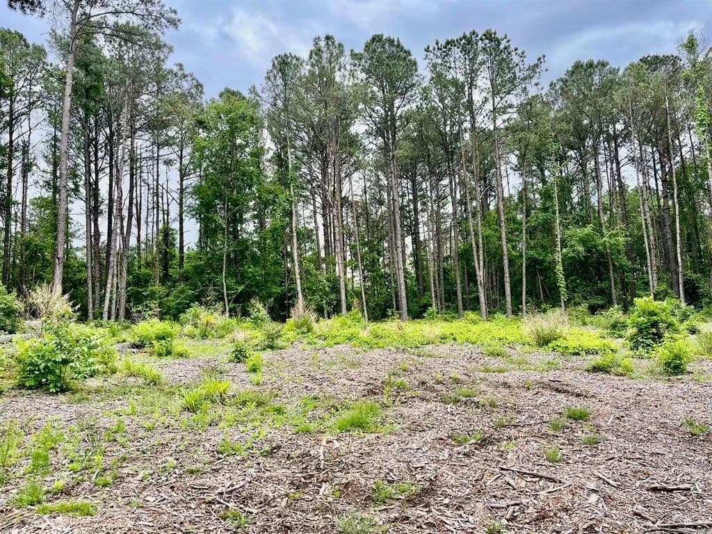 Vacant Land (0-10 Acres) in Wetumpka - Wetumpka, Alabama, 36093