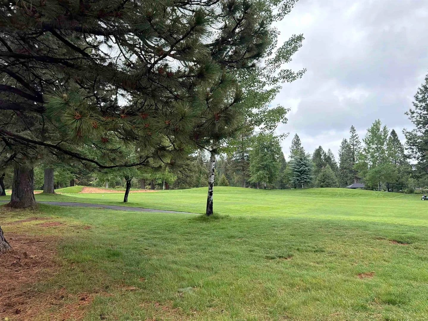Property from 305 Bailey Creek Drive - KW - Lake Almanor, California, 96137