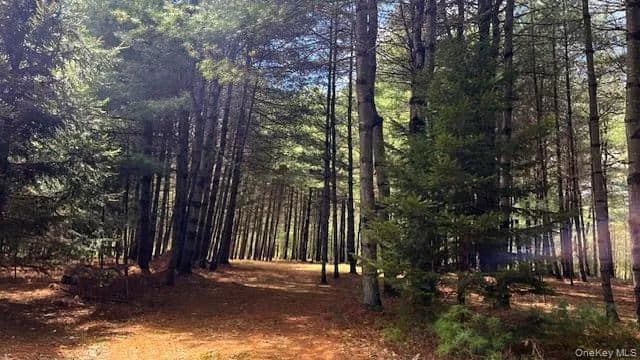 Vacant Land (0-10 Acres) in Glen Spey