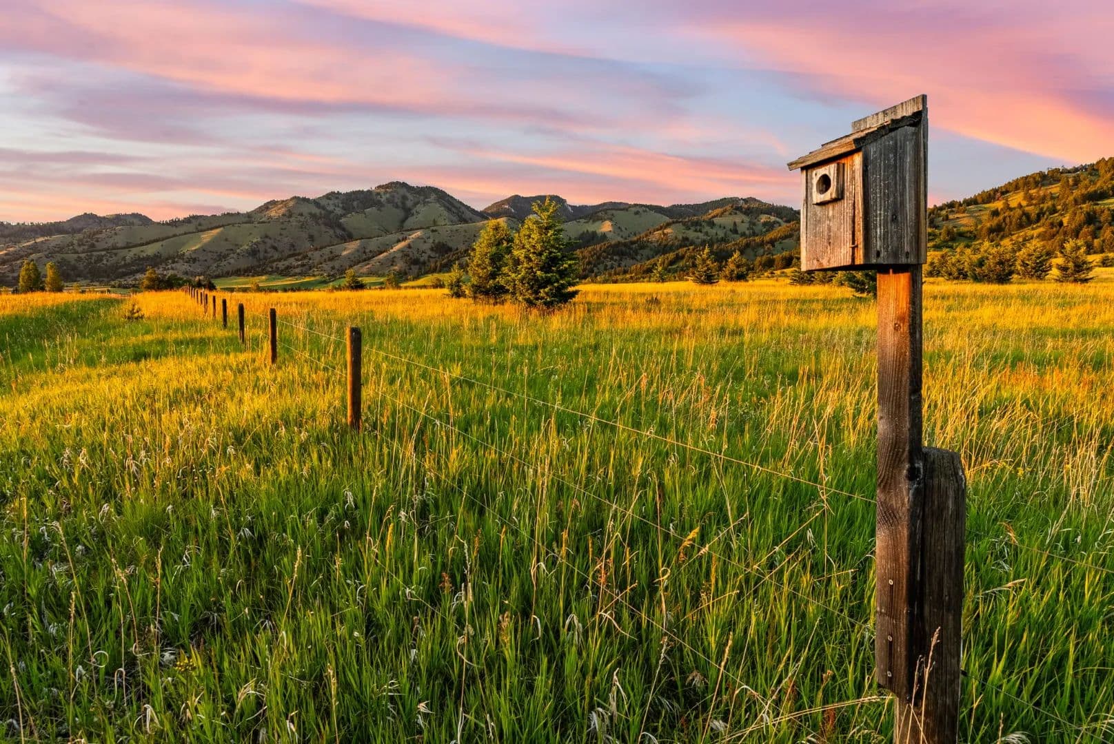 SYPES CANYON FIVE RANGES - Bozeman, Montana, 59715