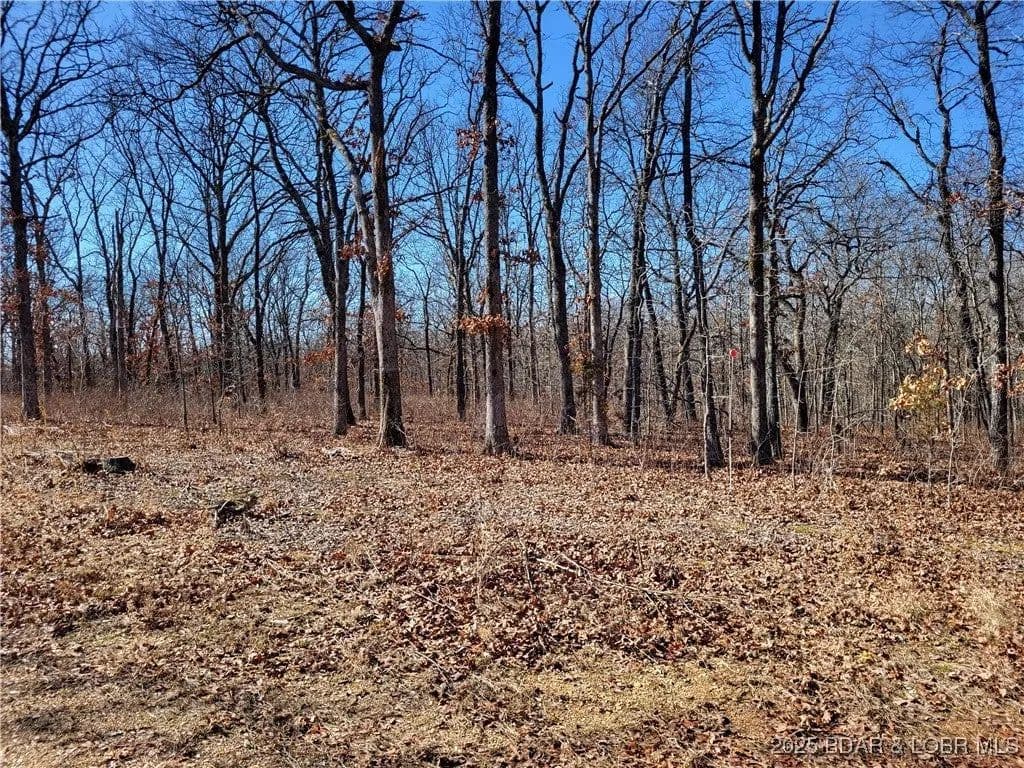 Lots & Land-Other in Edwards - Edwards, Missouri, 65326