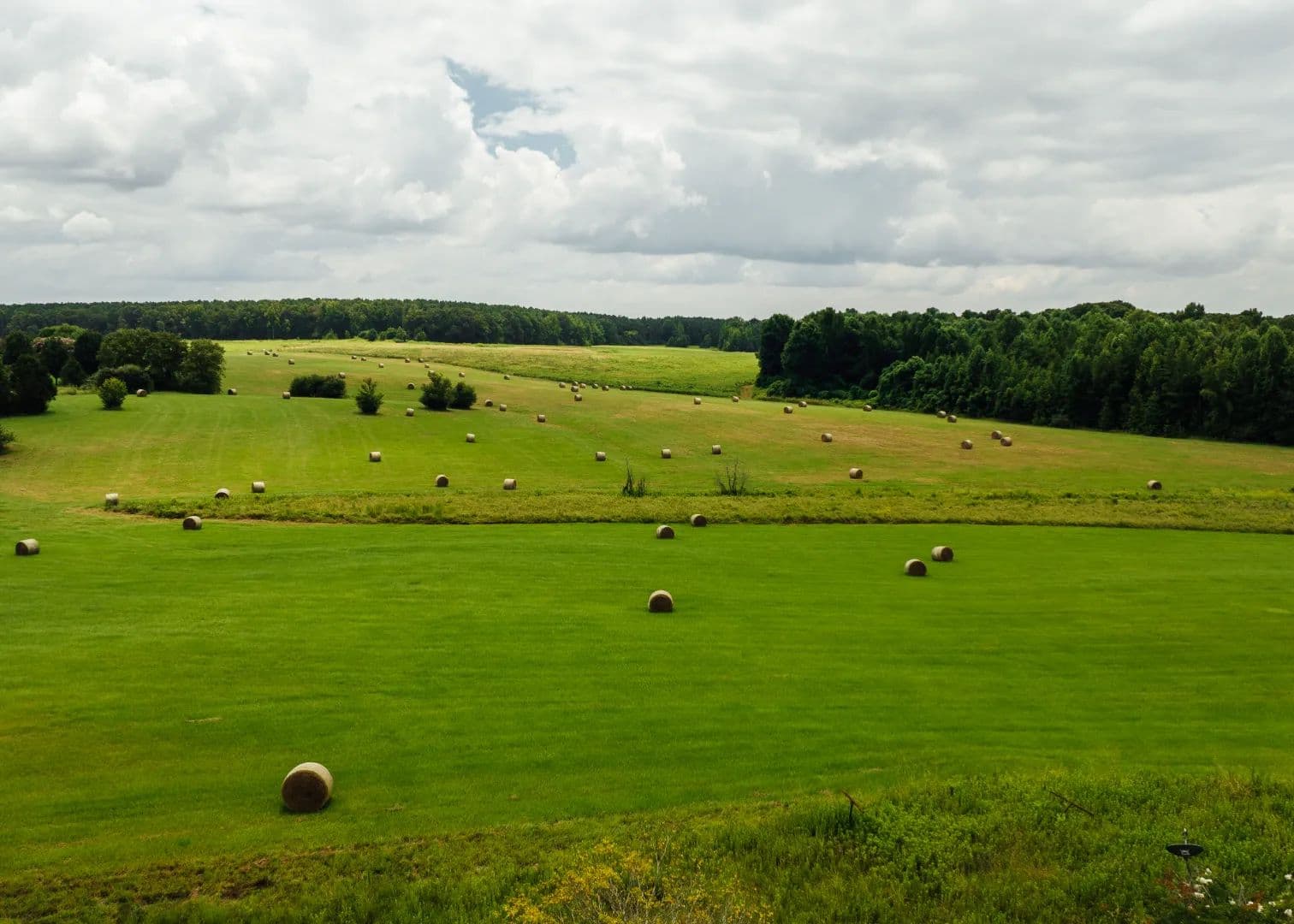 351.8 Acres in Winston County, MS  - Louisville, Mississippi, 39339