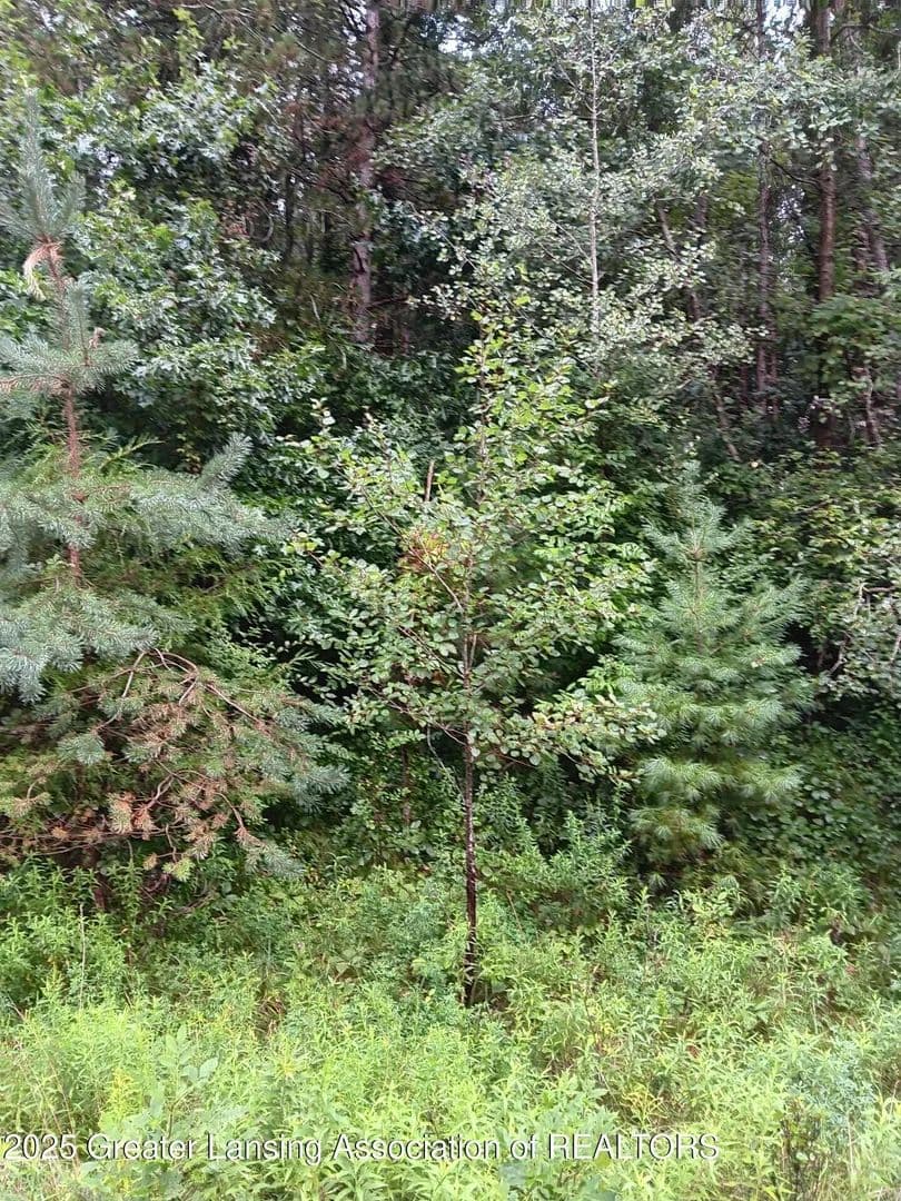 Lots & Land-Other in Owosso - Owosso, Michigan, 48867