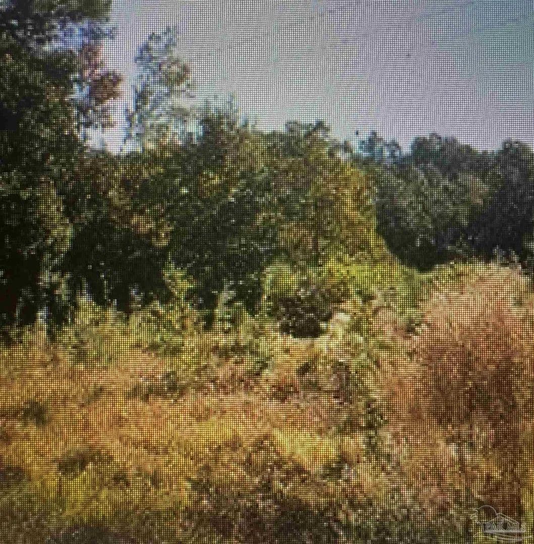 1.01 Acres of Land for Sale in Pensacola, FL - Pensacola, Florida, 32526