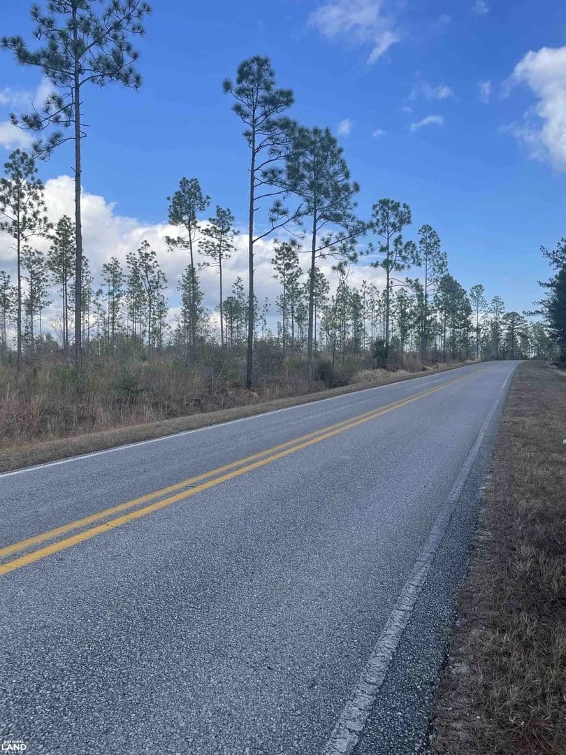 Perdido Investment/Homesite George Thomley Tract West - Perdido, Alabama, 36562