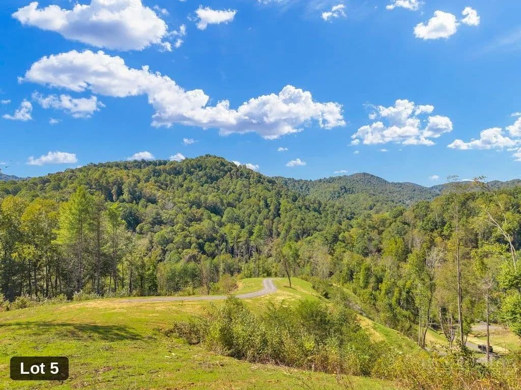 16.9 Acres of Land for Sale in Lansing, NC - Lansing, North Carolina, 28643