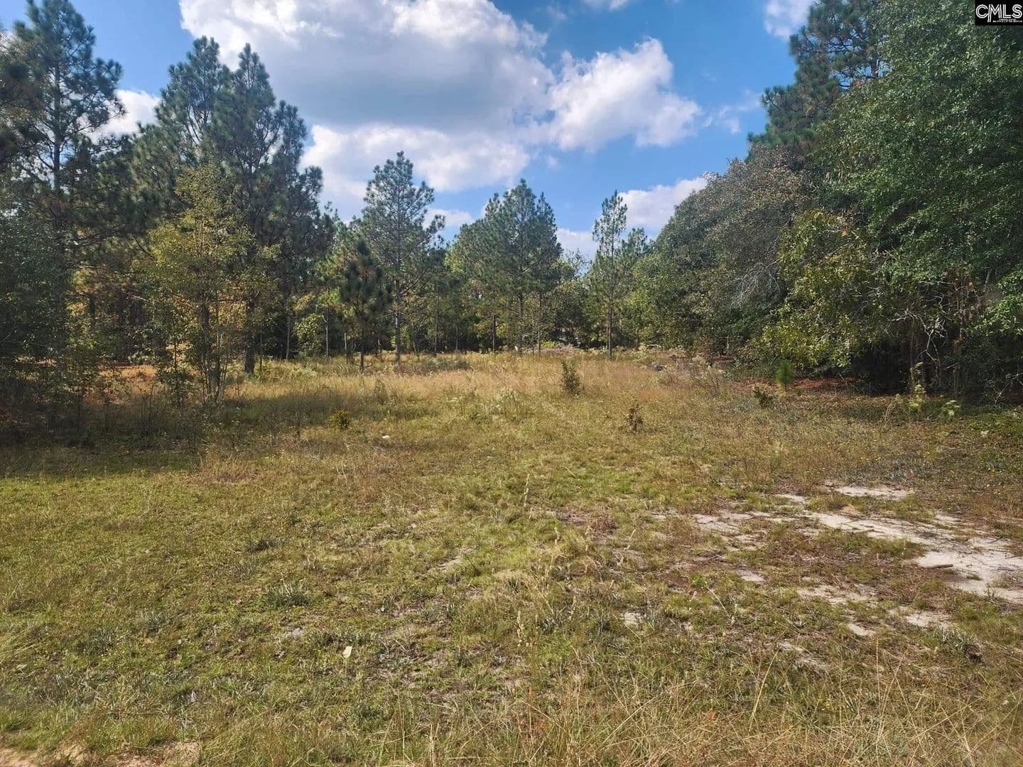 Vacant Land in Pelion - Pelion, South Carolina, 29123