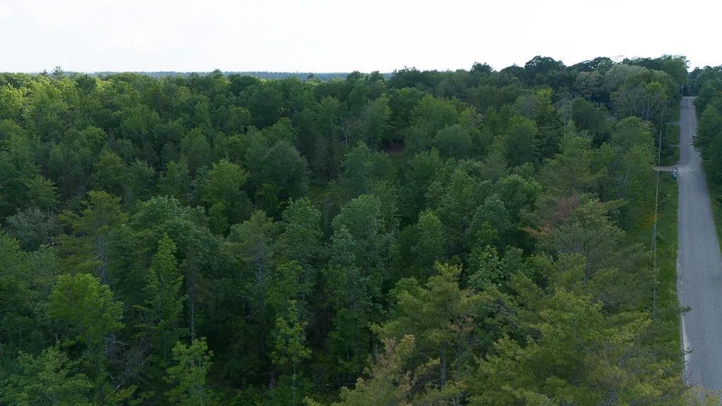 Vacant Land (0-10 Acres) in Burnham - Burnham, Maine, 04922