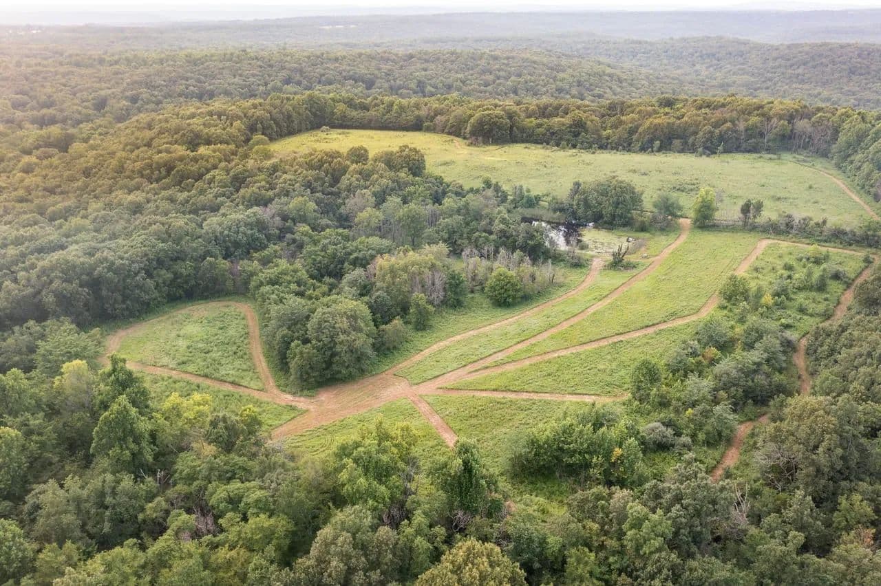 Shawnee National Forest 185.25 - Golconda, Illinois, 62938