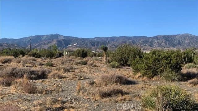 Vacant Land in Pinon Hills - Pinon Hills, California, 92372