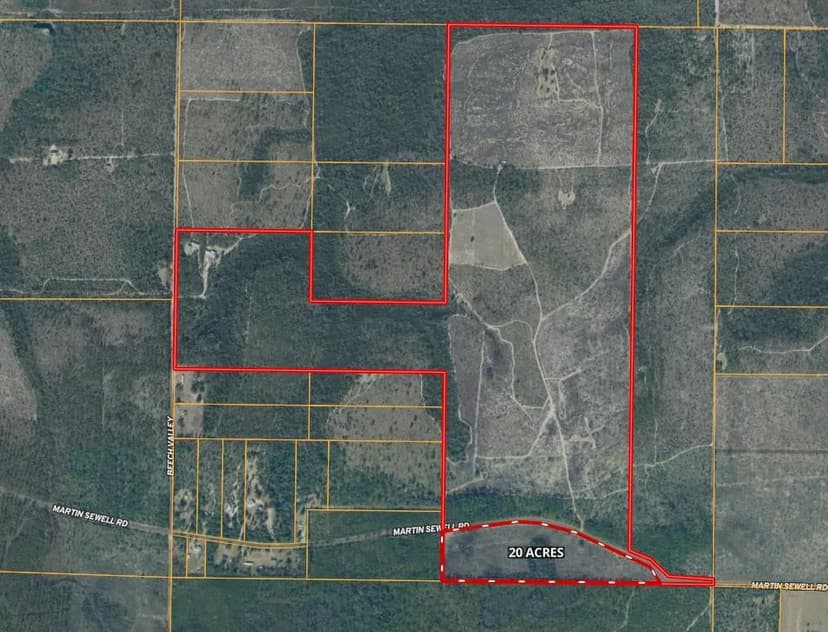 20-Acre in Altha - AG Zoned with Development Potential