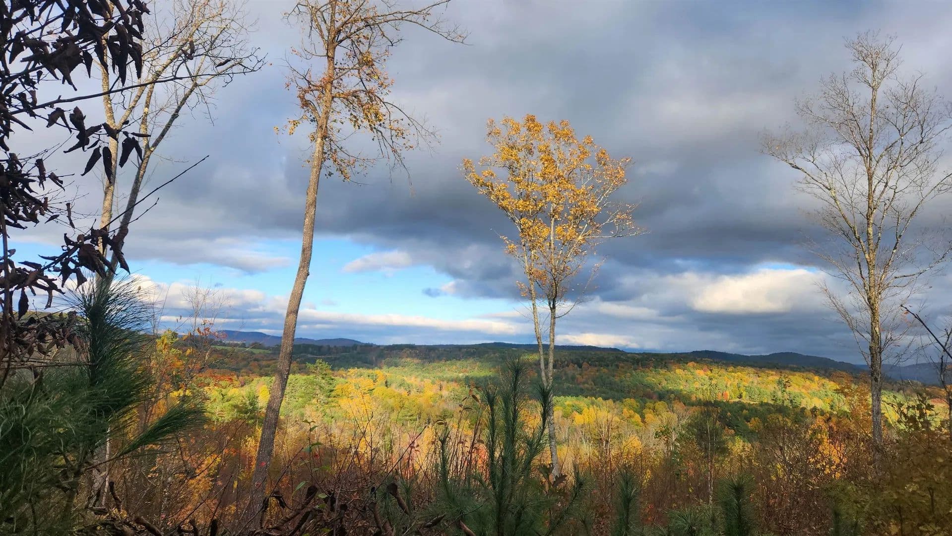 Lots & Land-Other in Newbury - Newbury, Vermont, 05051