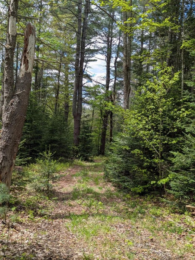 Lots & Land-Other in Rainbow Lake