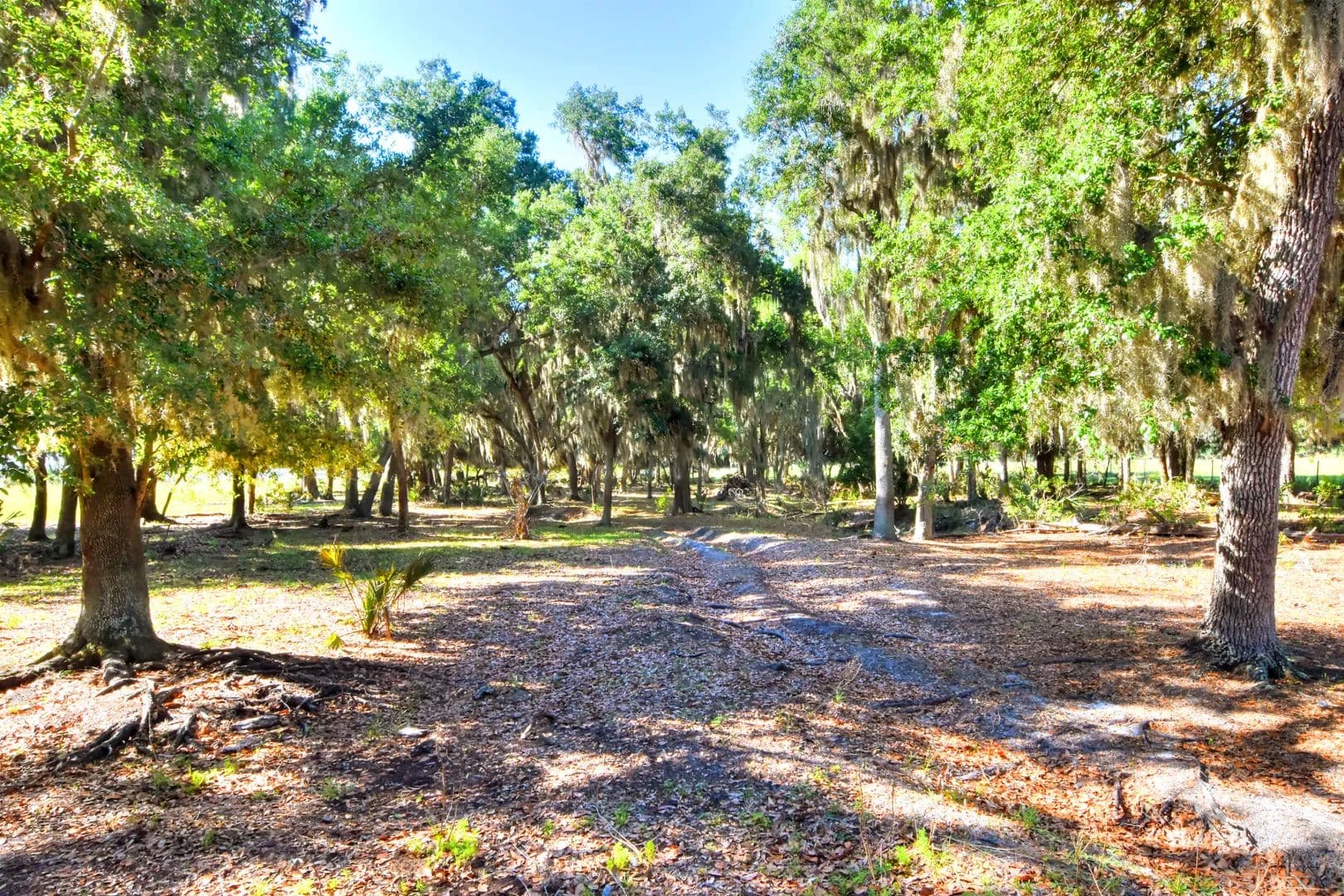 Secluded Rural Oasis - , Florida, 33547
