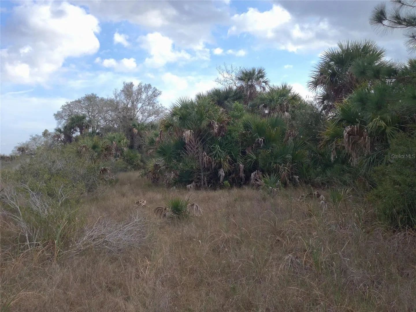5 Acres of Land for Sale in PUNTA GORDA, FL - Punta Gorda, Florida, 33982