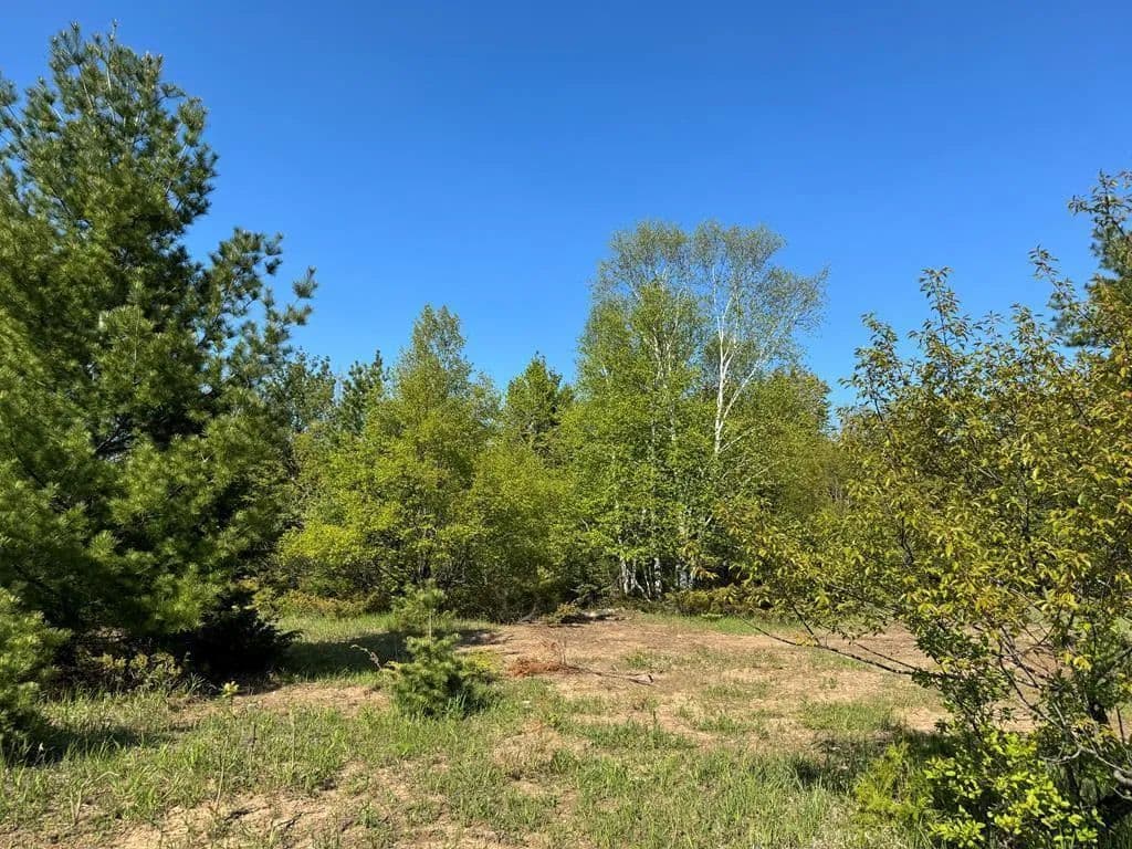 Land -Single Family Acreage in Egg Harbor - Egg Harbor, Wisconsin, 54209