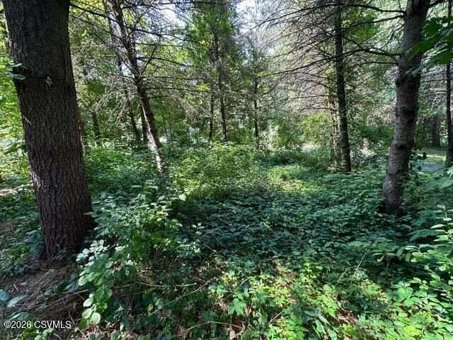 3.01 Acres of Land for Sale in Dushore, PA - Dushore, Pennsylvania, 18614
