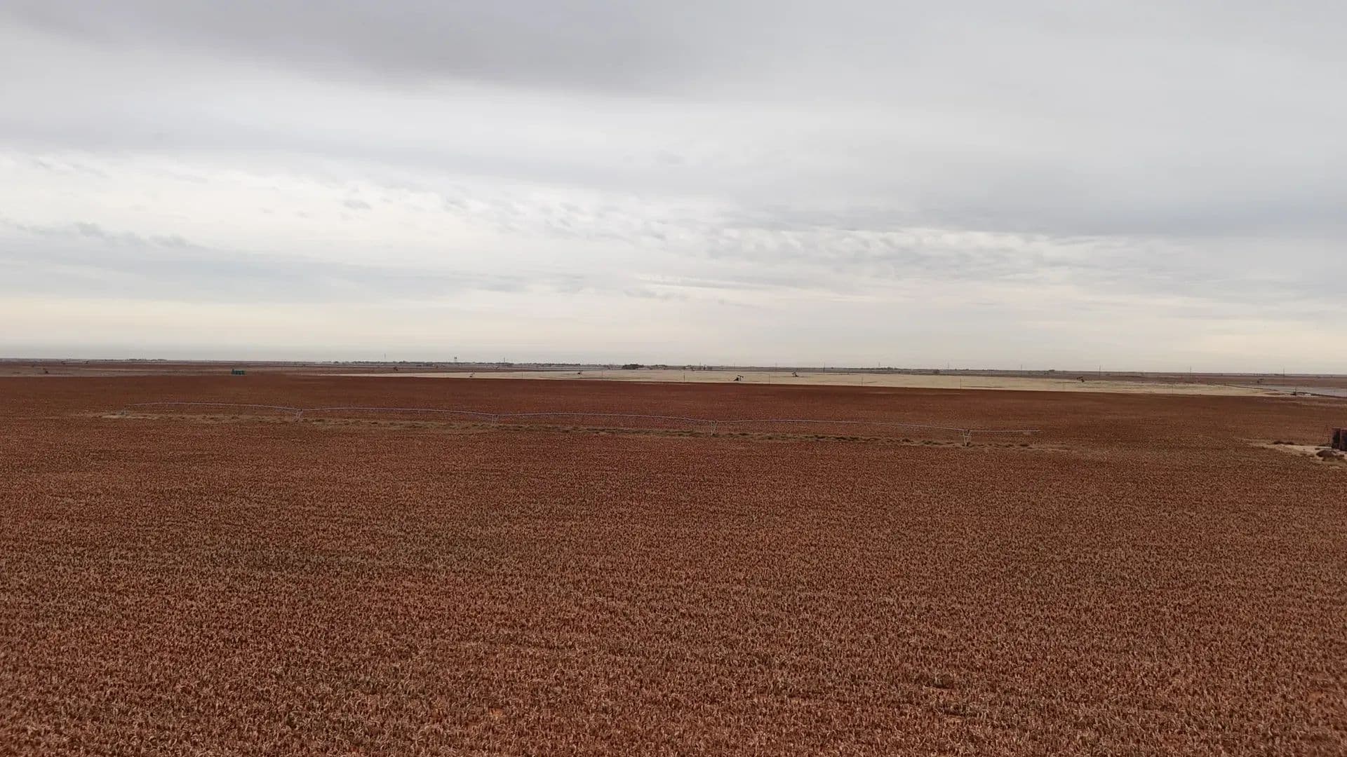 186 Acres of Land for Sale in Morton, TX - Morton, Texas, 79346