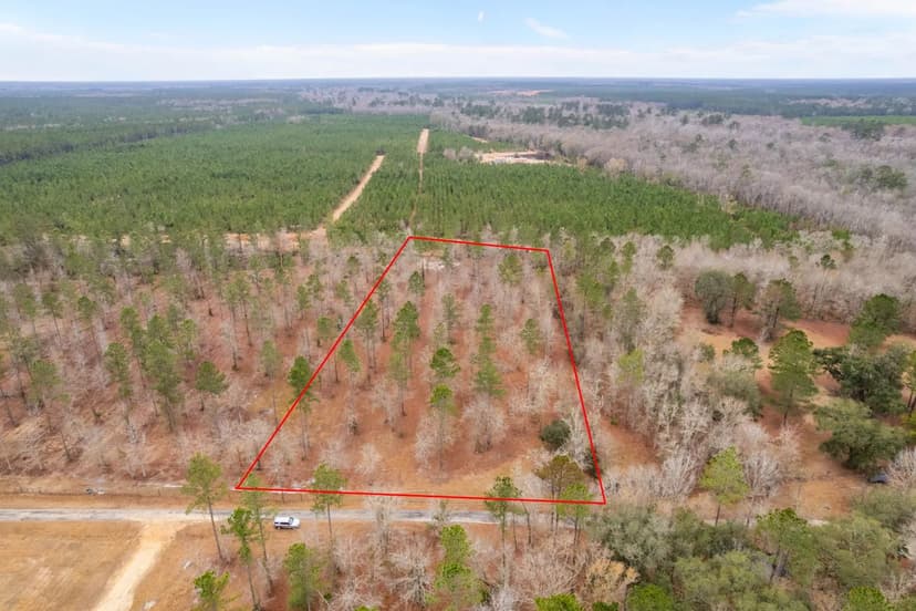 Tract 1 - 4 Acres in Loggan Lane	