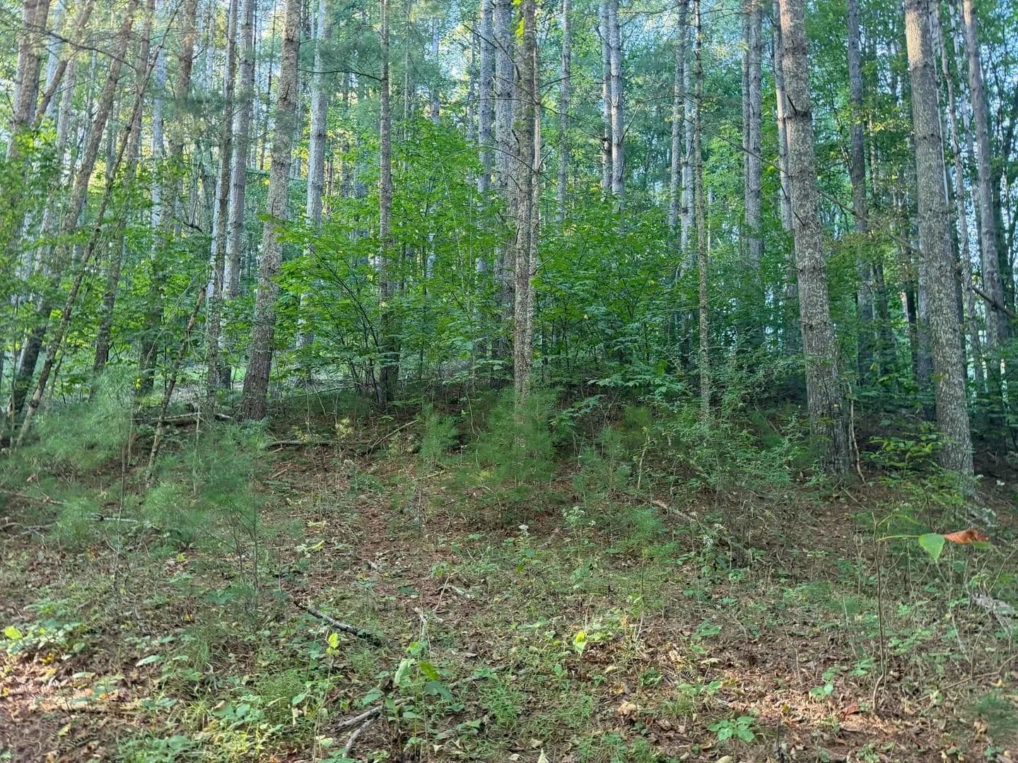 Lots & Land-Other in Crawley - Crawley, West Virginia, 24931
