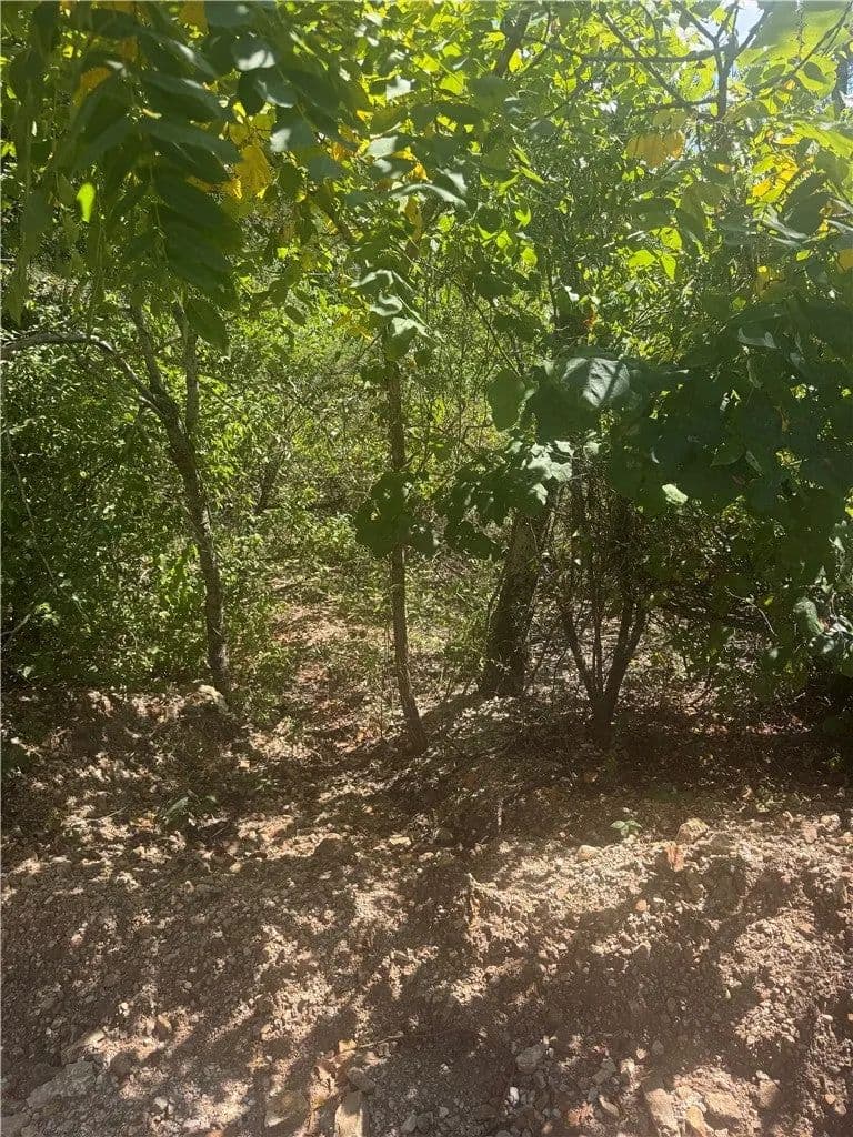 Lots & Land-Other in Diamond City - Diamond City, Arkansas, 72644