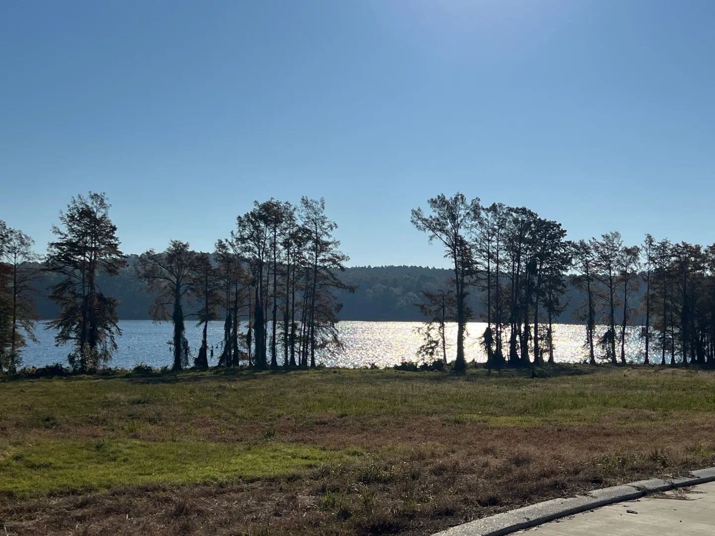 Land -Single Family Acreage in Many - Many, Louisiana, 71449