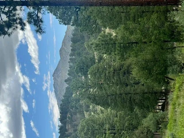 Land -Single Family Acreage in Alto - Alto, New Mexico, 88312