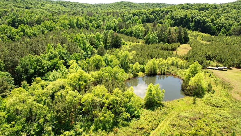 Lawrence Co Homesite - 2 Acres Co. Rd. 17