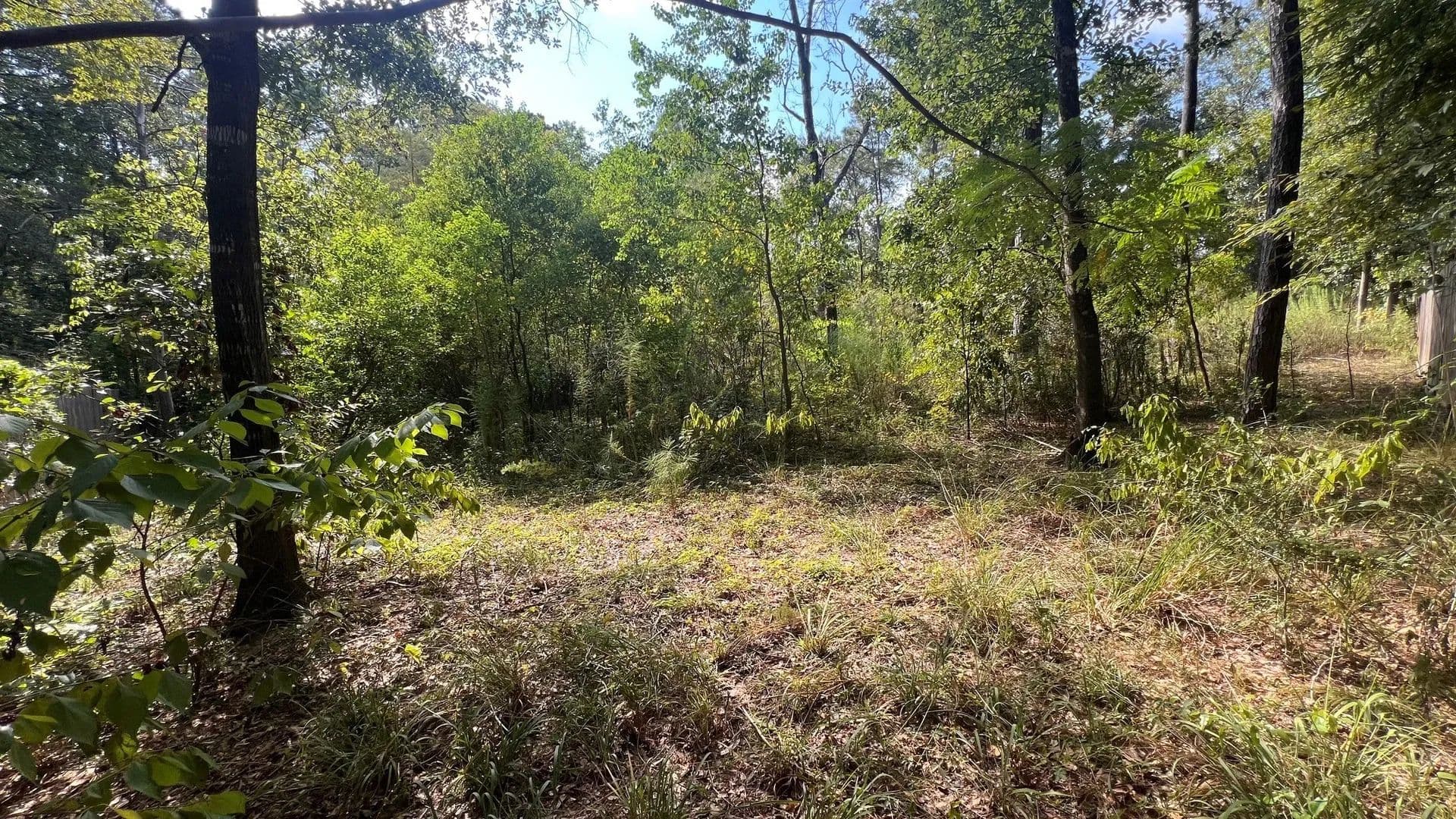 Vacant Land in Conroe - Conroe, Texas, 77316
