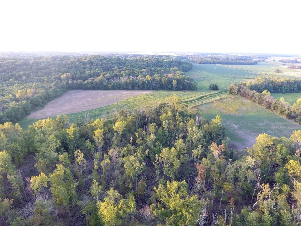North Lawrenceville 40 Acres - Lawrenceville, Illinois, 62439