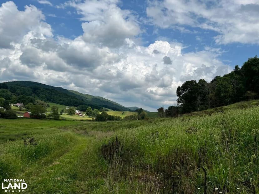 Cedar Springs Farm- Tract B