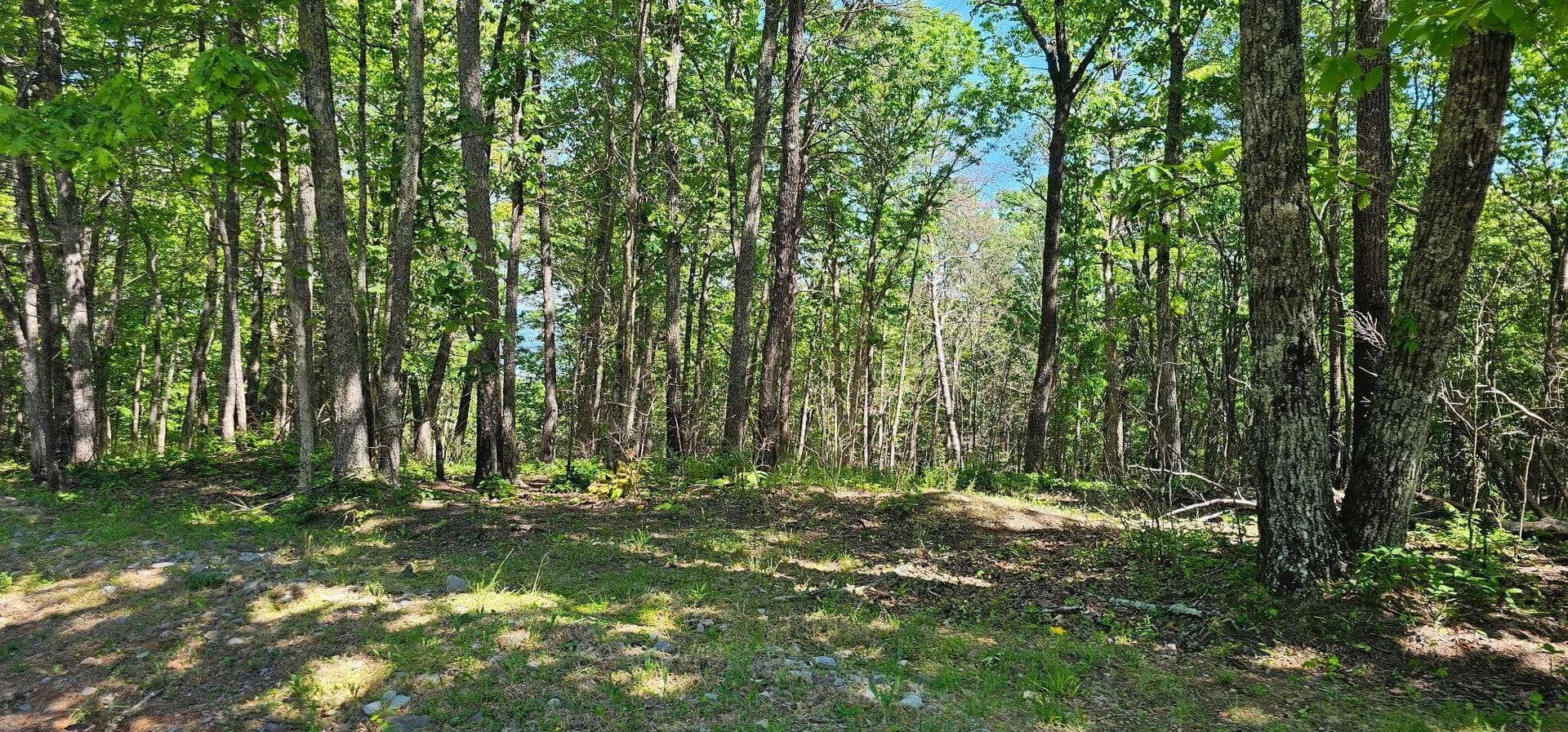 Land -Agricultural (Not Zoned) in Dunlap - Dunlap, Tennessee, 37327