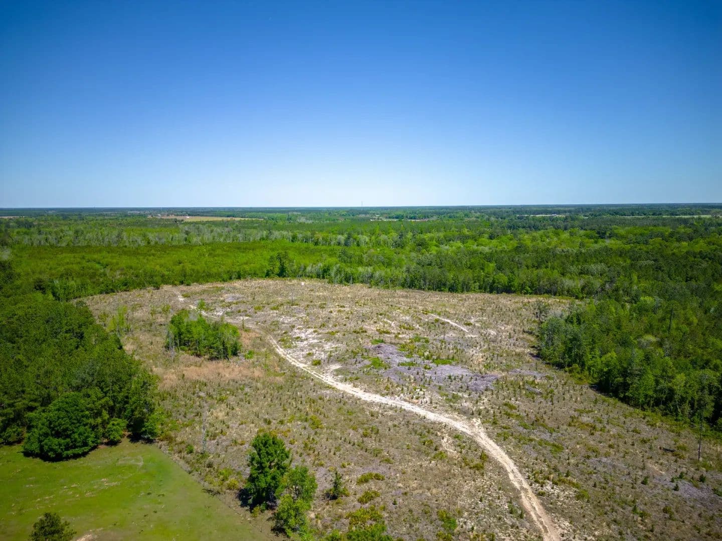 Big Satilla Creek Sanctuary - Bristol, Georgia, 31518