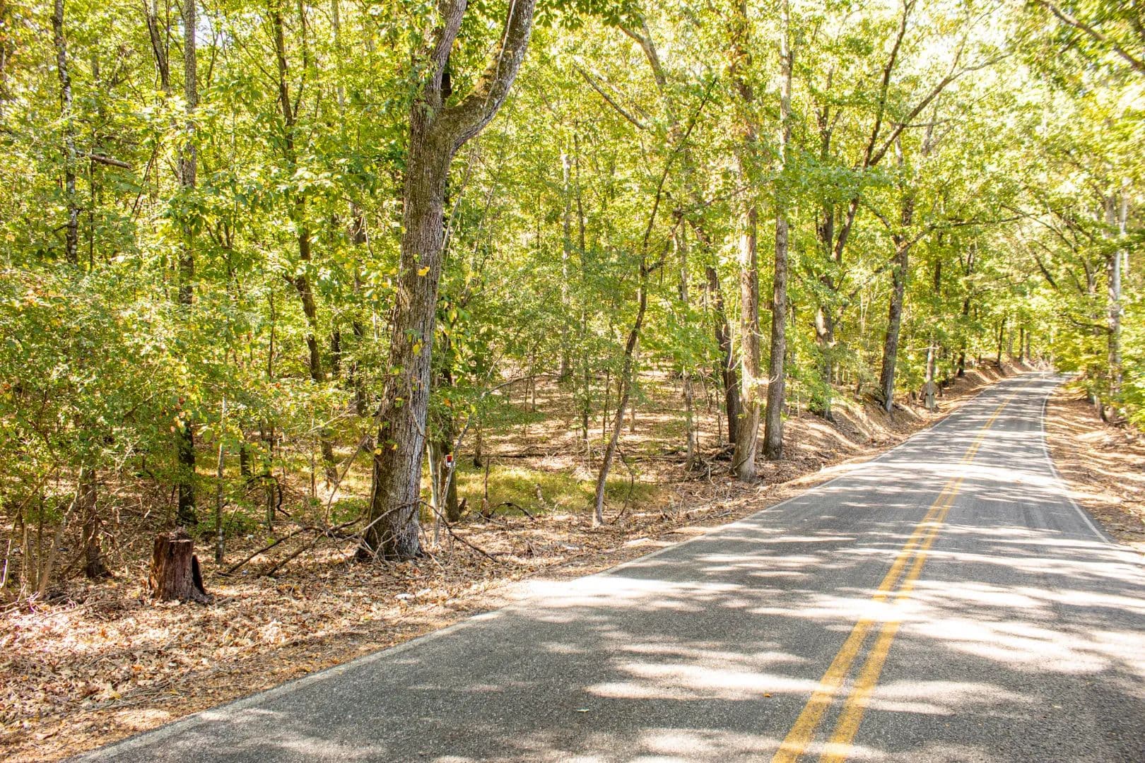 57.242 Acres in Shelby County, TN  - Arlington, Tennessee, 38002