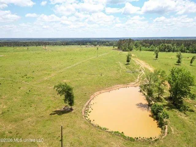Pasture Land for Sale in Lincoln County, MS - Ruth, Mississippi,