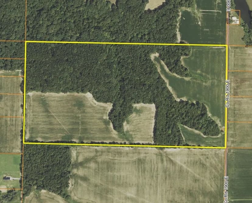 80.00± Acres ∙ Combo Farm ∙ Fayette County, IL