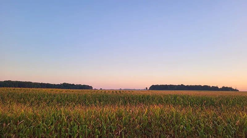 Agness Farm - Bunker Hill, Indiana, 46914