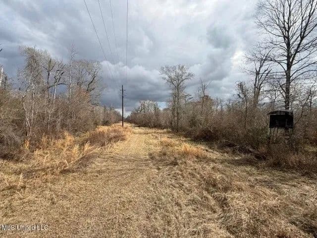 470 Acres on Calcasieu River in Allen Parish, LA