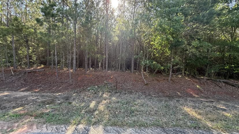15 Acres in Pansey, AL | Planted Pines & Privacy