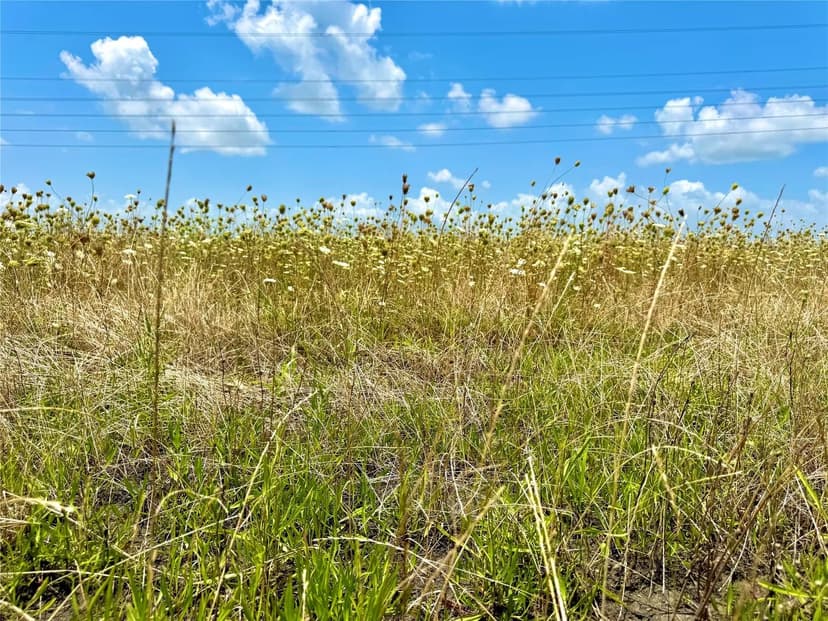 Property from Lot 8 CR-590 - KW