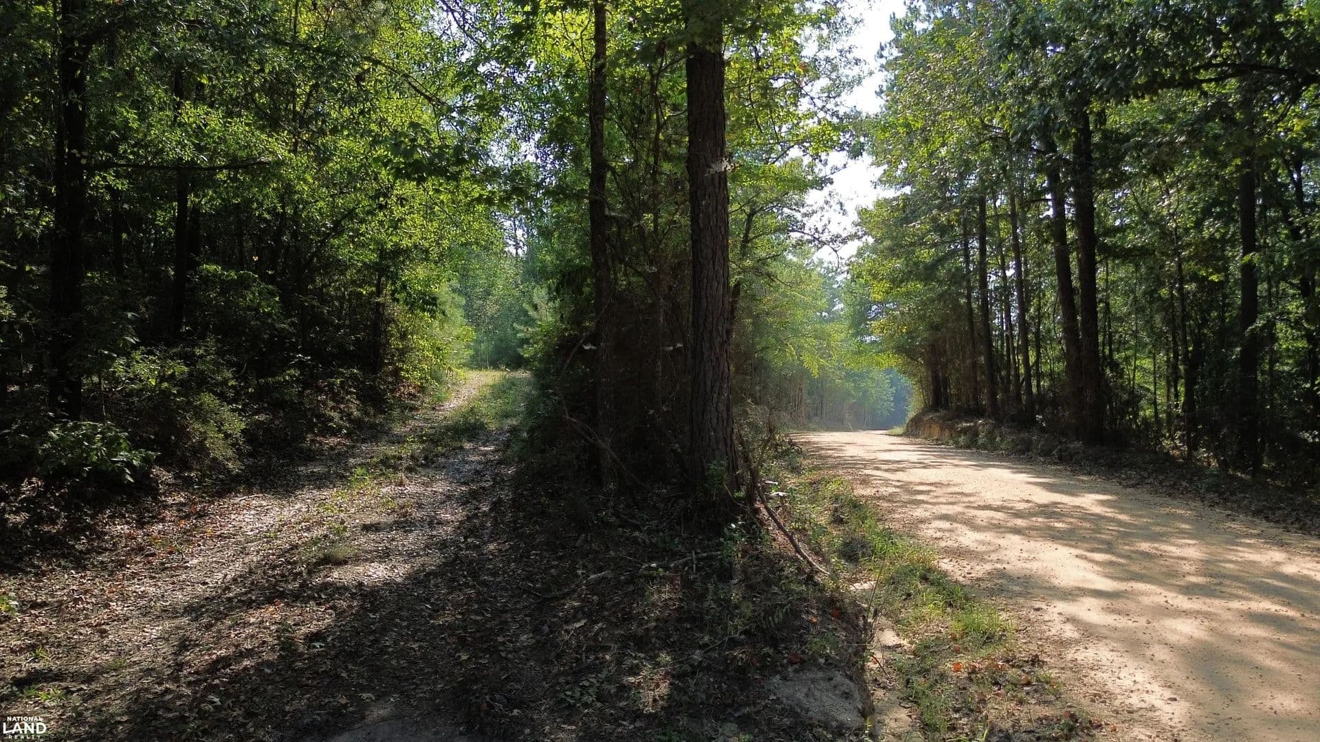 Hurricane Creek Recreation & Homesite - Billingsley, Alabama, 36006