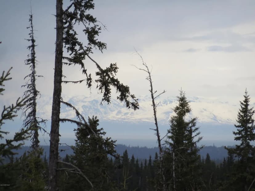 Property from L32 Kostino Street - KW