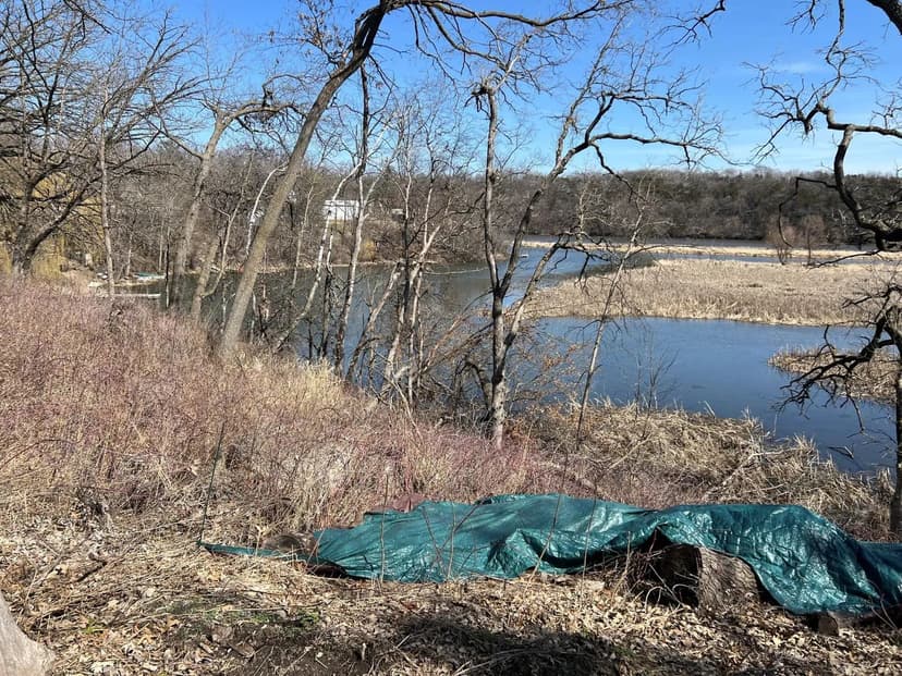 Vacant Land in Oronoco