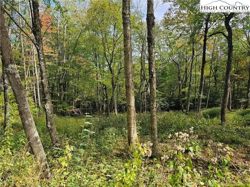 Property from Lot 29 Lee Gualtney Road - KW